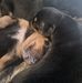 Denise Parry - Facebook
