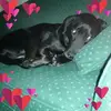 Denise Parry - @denise.parry8 - TikTok