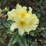 Denise Penney - @woodlandsparkgarden - Instagram