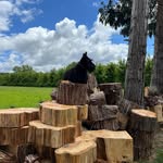 Denise Penney - @dapenney65 - Instagram