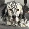 Denise Penney - @momma.dee725 - TikTok