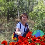Denise Persico - Facebook