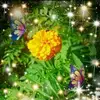 Denise Pinder - @denise.pinder2 - TikTok