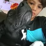AKAAiden - @denise.poole2012 - Instagram