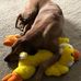 Denise Courtright Posey - Facebook