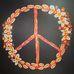 Denise Pounds Schwalm - Facebook