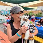 Denise Prater - @cookingupfun - Instagram