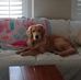 Denise Pratt - Facebook