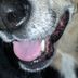 Denise Pratt - Facebook