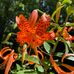 Denise Pratt - Facebook