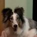 Denise Purschke - Facebook
