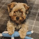Denise Rand - @daisyrand - Instagram