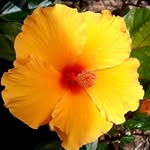 Denise Redding - @dredding60 - Instagram