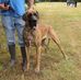 Denise Reeves - Facebook