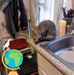 Denise Reeves - Facebook