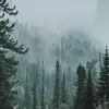 denise_reilly - @denise_reilly - TikTok