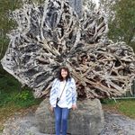 Denise Reilly Duff - @dnduff63 - Instagram