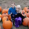 denisereilly111 - @denisereilly111 - TikTok
