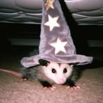 Denise Reyanne Schreiner - @just_slightly_emo - Instagram