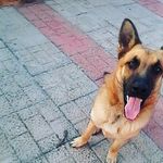 Deni - @denise_riggi034 - Instagram