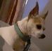 Denise Riggs - Facebook