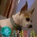 Denise Riggs - Facebook