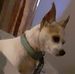 Denise Riggs - Facebook