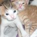 Denise Rispoli - Facebook