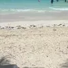 Denise Rivas - @denise.rivas96 - TikTok