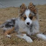 Denise Rivet - @dhrreviewer - Instagram
