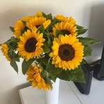Denise Rix - @rix2658 - Instagram