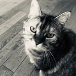 Denise Robichaud - @robichaud42 - Instagram
