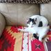 Denise Robichaud - Facebook