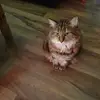 Denise Roper - @denise.roper0 - TikTok