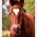 Denise Jurgens Rossiter - Facebook