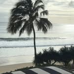Denise Trickey - @deniserubyt - Instagram