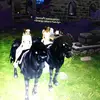 denise.ruby - @denise.ruby - TikTok