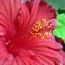 Denice Rust - Facebook