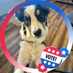 Denise Satterfield - Facebook