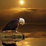 Denise Satterfield - @satterfielddenise - Instagram