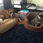 Denise Schnitzer - @denisesbeachpad - Instagram