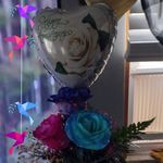 Denise Schultz - @denise.schultz57 - Instagram