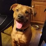 Denise Schultz - @denise.schultz613 - Instagram