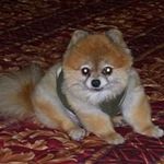 Denise Schultz - @denise.schultz.9822 - Instagram