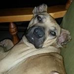 Denise Schultz - @schultzie1608 - Instagram