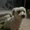 Denise Serna - @denise.serna661 - TikTok