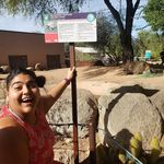 Denise Serna - @spanglishandshakespeare - Instagram