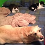 Denise Severson - Facebook