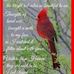 Denise Singleton - Facebook
