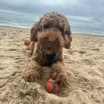 Denise Singleton - @jaynesing - Instagram